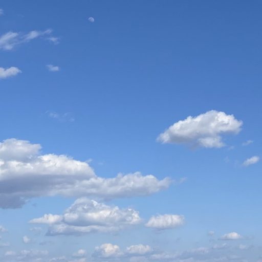 黒汁フィットネス⭐️自分のケア、後回しになってない？😠赤松炭・酪酸菌・サラシア・イソマルトオリゴ糖・チャコールクレンズ・デトックス効果